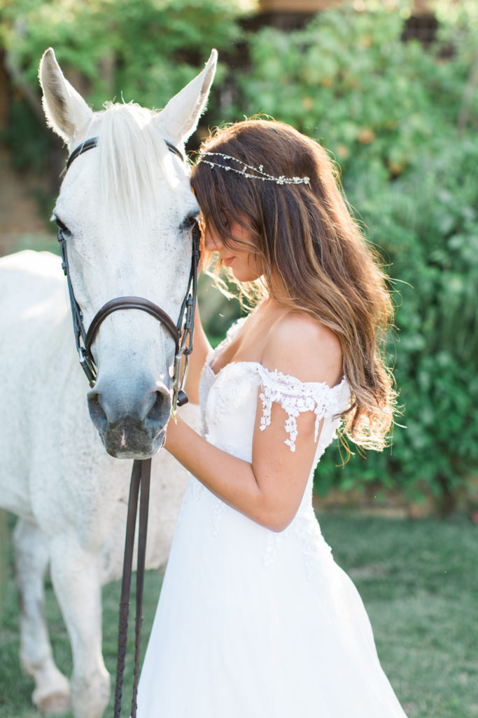 San Diego Wedding horse